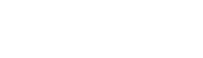 FlyLuxEx Aviation